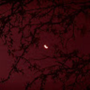 Meet your Posher, Avery